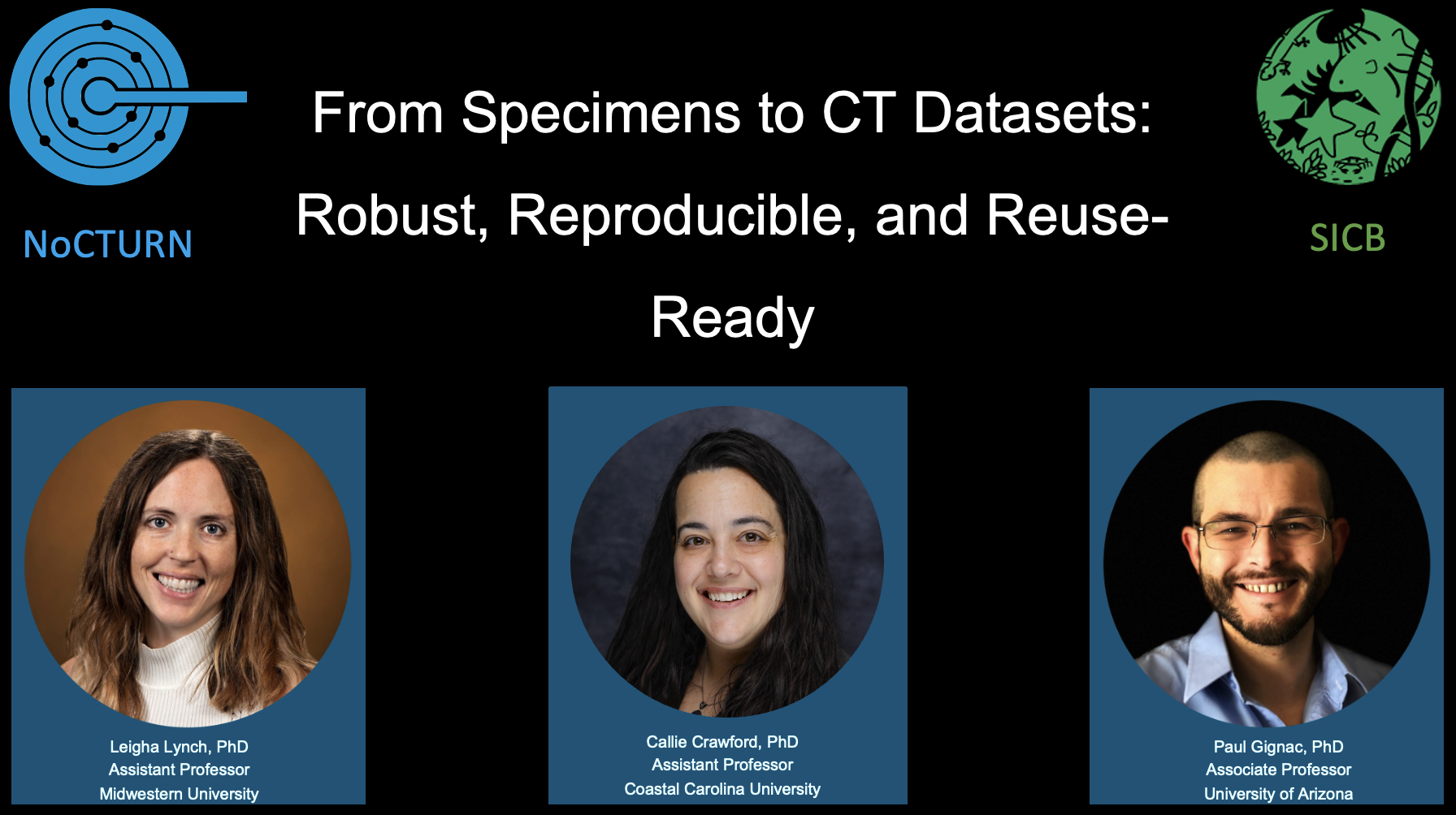 From Specimens to CT Datasets